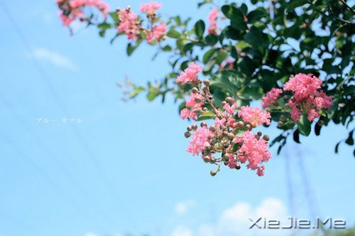 不要嘲笑别人的疤，那只是你没有经历过的伤 (1)