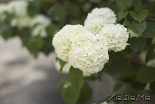 不要嘲笑别人的疤，那只是你没有经历过的伤 (7)