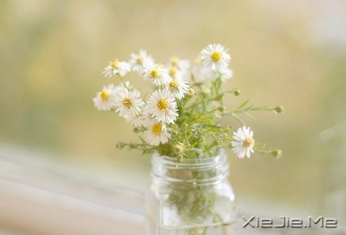 晚安心语：心复杂，世界就是迷宫 (2)