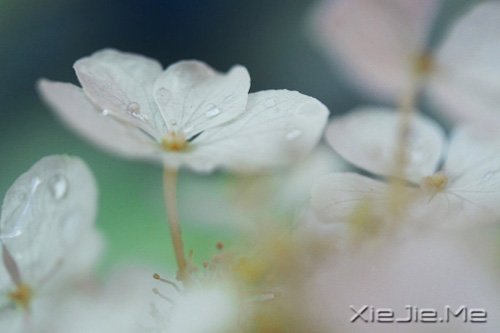 晚安心语：找到完美的路 (10)