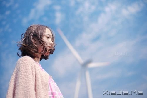 早安心语：阳光，源自你内心的澄澈 (10)