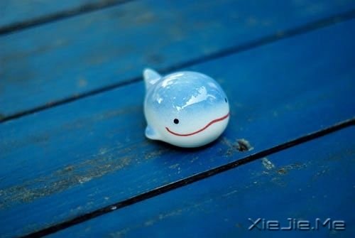 自己选择的路，就算跪着也要走完