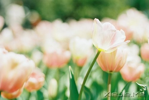 什么是0.8生活学？生活需要冲，更需要缓冲