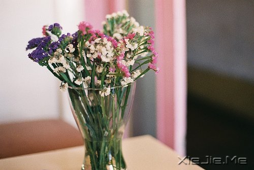 文字：八味人生良药 (7)